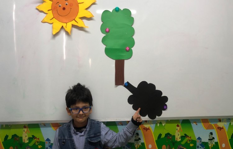 شناخت سایه 3