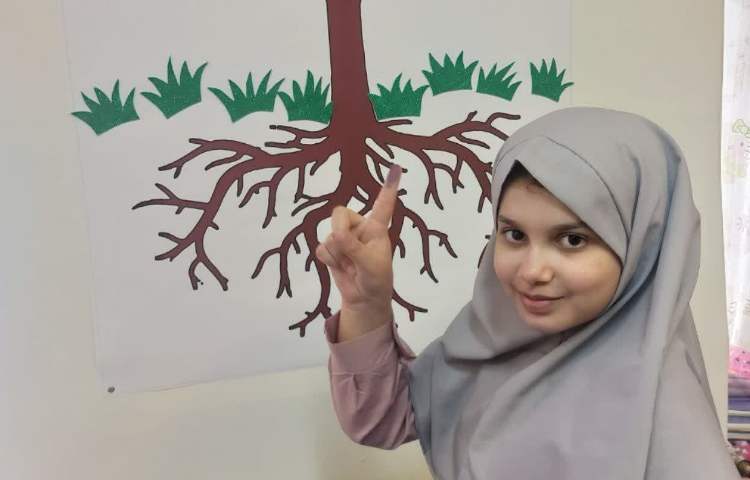 شناخت قوانین کلاسی 2