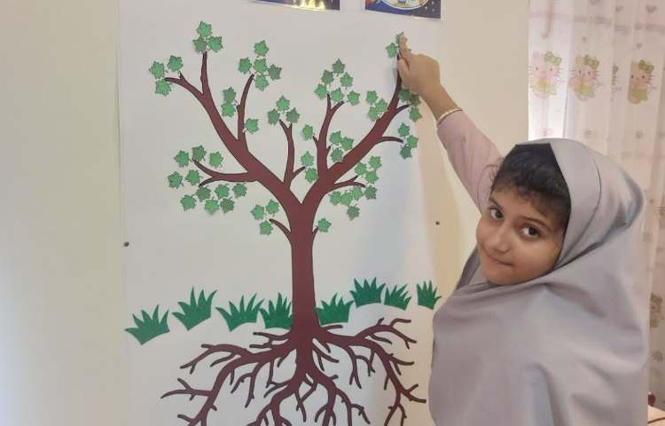 شناخت قوانین کلاسی