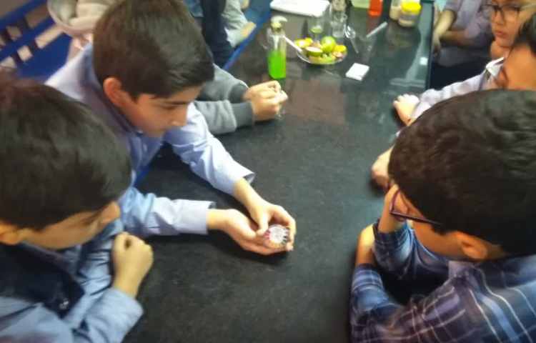 شناسایی اسید و بارها با کاغذ پی اچ در آ زمایشگاه 1