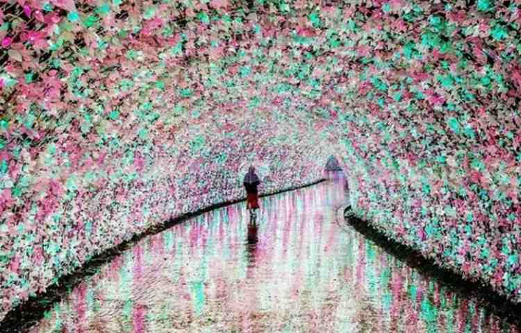 شناسایی افکار و مدیریت آن 1