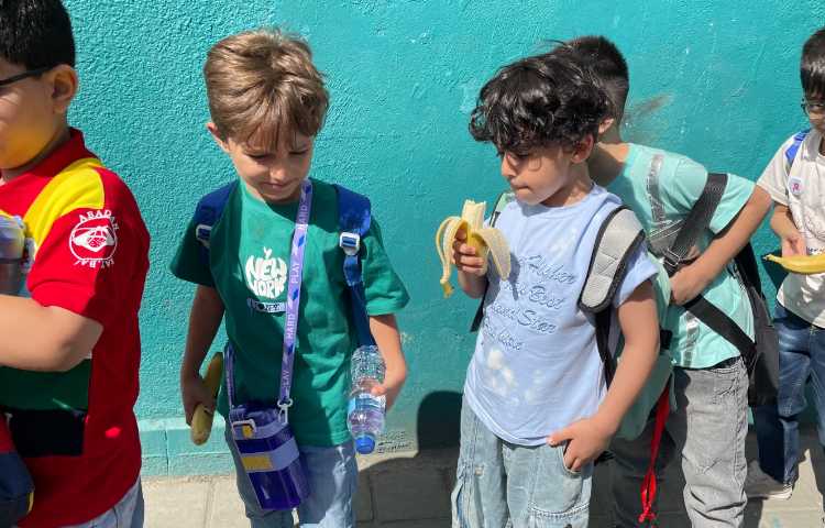 شهربازی هروی 22