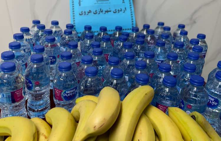 شهربازی هروی 29