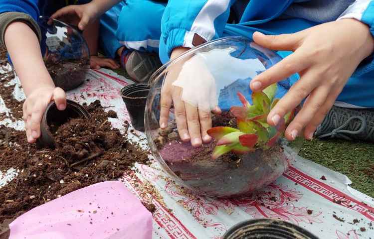 :شهروند سالم 6