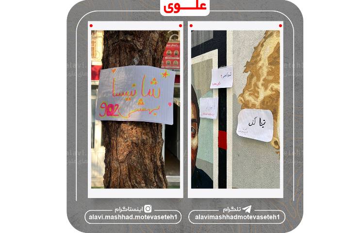 شورای دانش آموزی 5