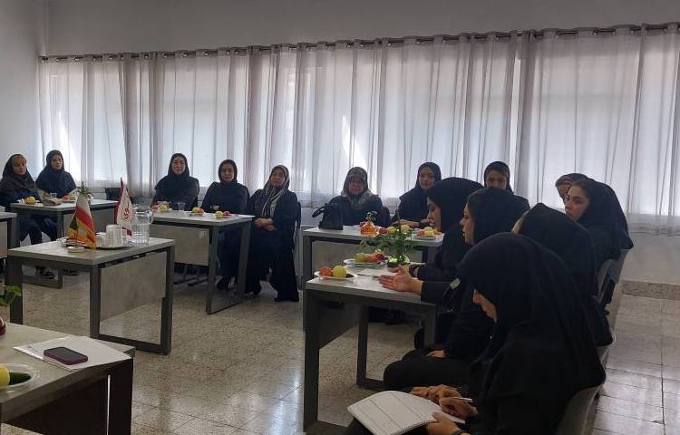 شورای دبیران 3