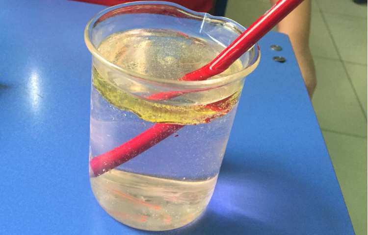 شکست نور و تجزیه نور به کمک منشور 3