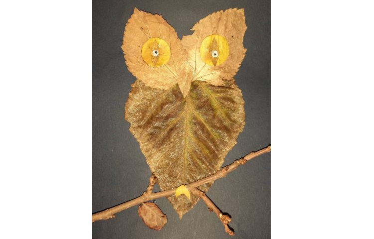 شکل سازی با برگ درس علوم دخترم طناز کرمی 1