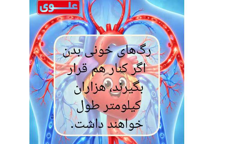 شگفتی های بدن انسان 2