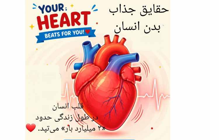 شگفتی های بدن انسان 3