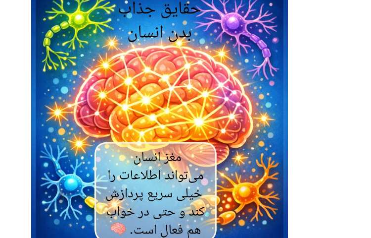 شگفتی های بدن انسان 4