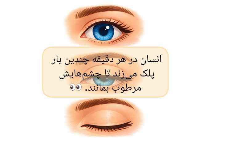 شگفتی های بدن انسان 6