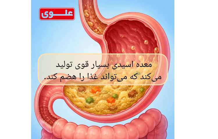 شگفتی های بدن انسان 7