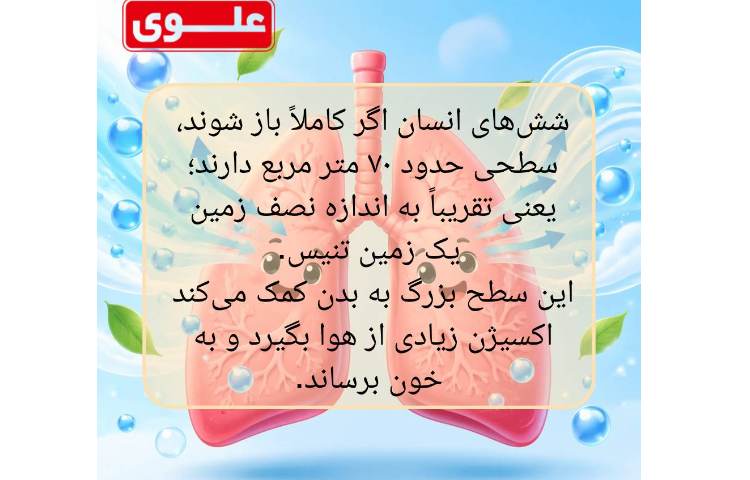 شگفتی های بدن انسان 8