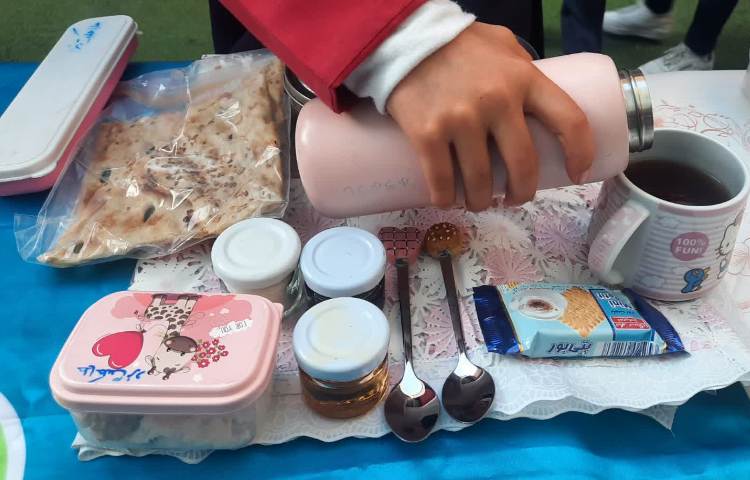 صبحانه سالم 11