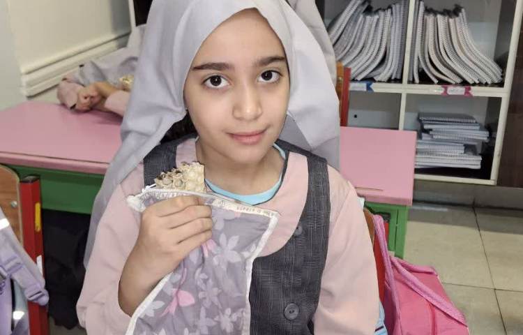 صبحانه سالم 3