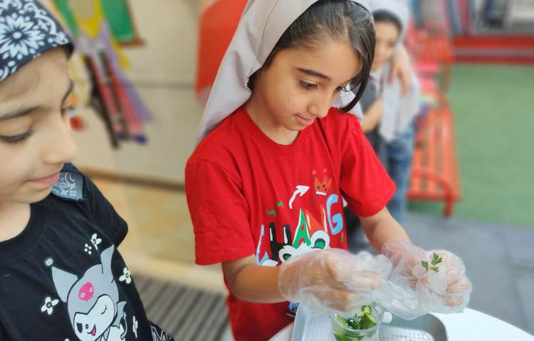 صبحگاه تابستونک یخی 2