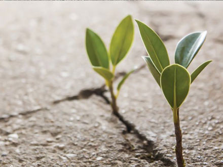 صبر در زندگی چه اهمیتی دارد؟