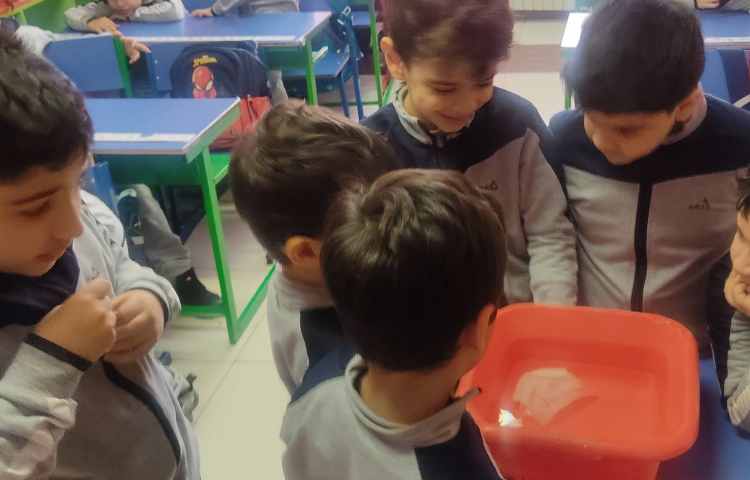 صداشناسی phonics Blending 2