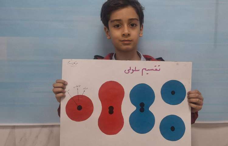 صرف صبحانه‌ی تخم مرغ آب‌پز جهت آشنایی با ساختار سلول 1