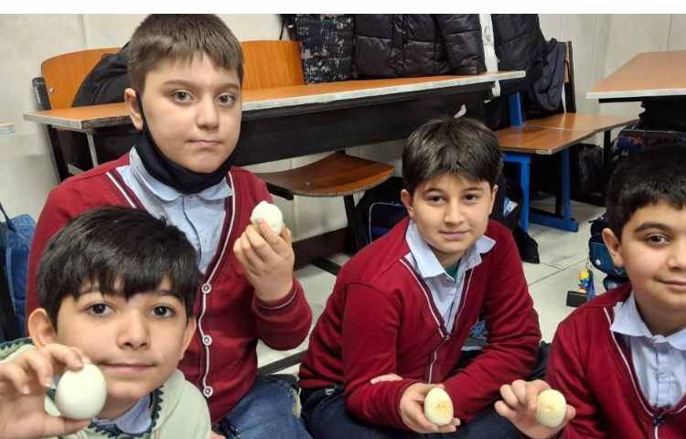 صرف صبحانه‌ی تخم مرغ آب‌پز جهت آشنایی با ساختار سلول 4