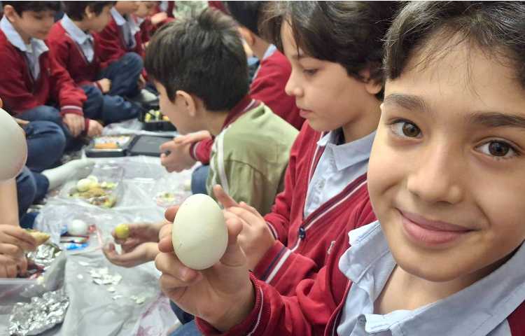 صرف صبحانه‌ی تخم مرغ آب‌پز جهت آشنایی با ساختار سلول 6