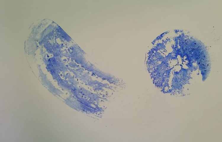 صفحه 68 و 69 کتاب علوم 3