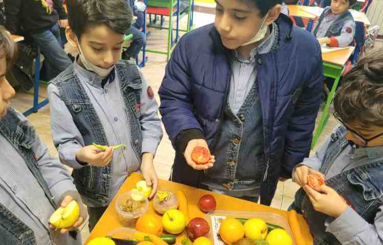 صفحه 68 و 69 کتاب علوم