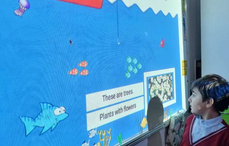 طبقه‌بندی گیاهان-زنگ Science 1