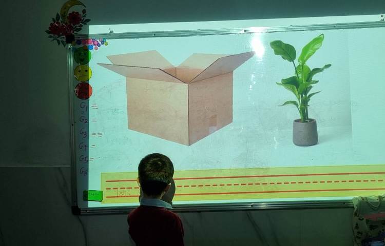 طبقه‌بندی گیاهان-زنگ Science 3