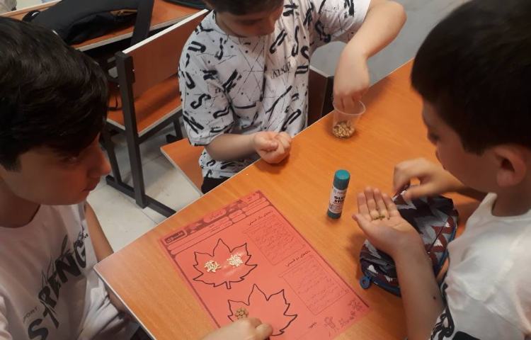 طبقه بندی گیاهان تک لپه و دولپه ای 1