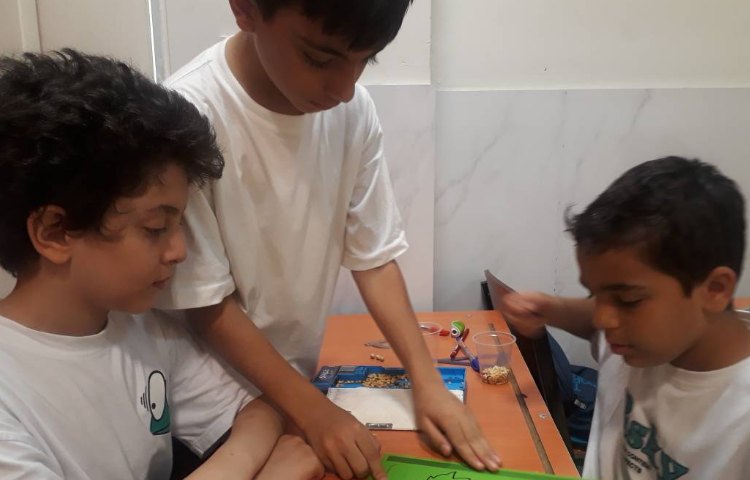 طبقه بندی گیاهان تک لپه و دولپه ای 2