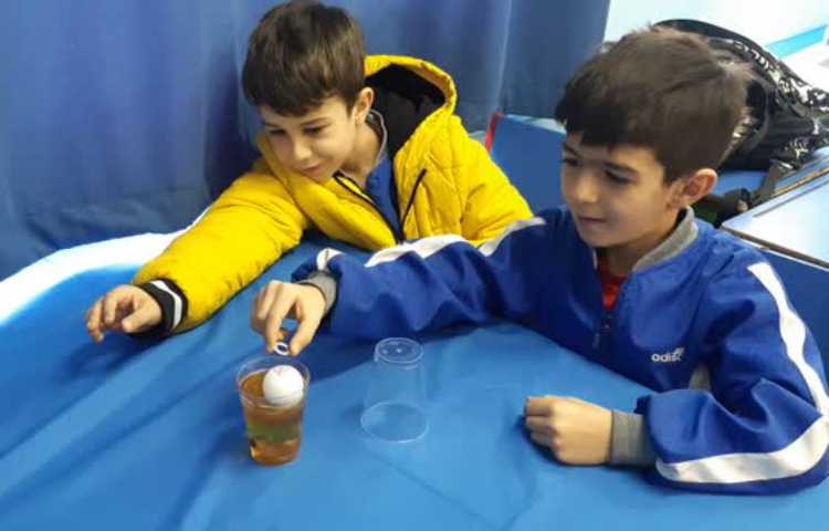 طبقه های رنگی هفته ملی علوم 4