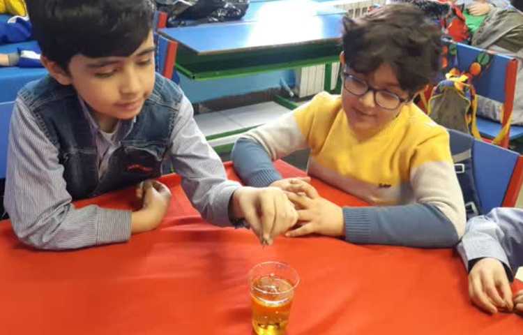 طبقه های رنگی هفته ملی علوم 5