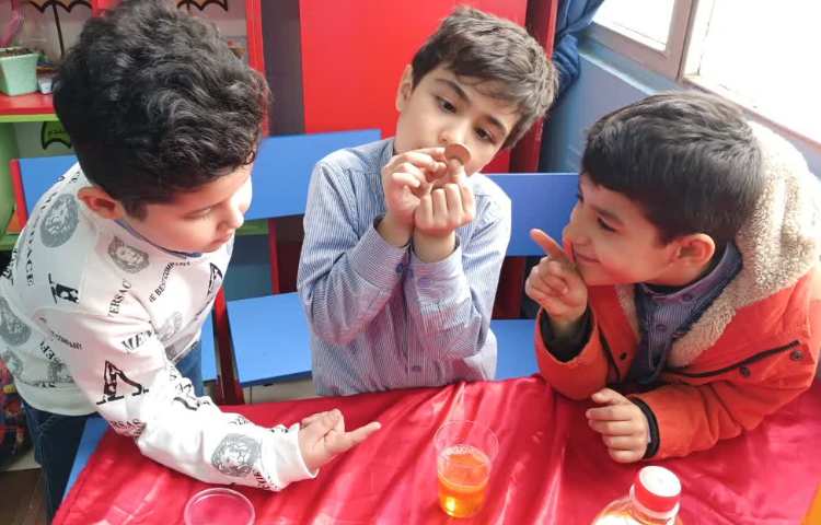 طبقه های رنگی هفته ملی علوم 5