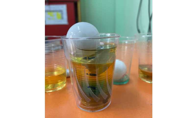 طبقه های رنگی و خمیر جادویی هفته ملی علوم 6