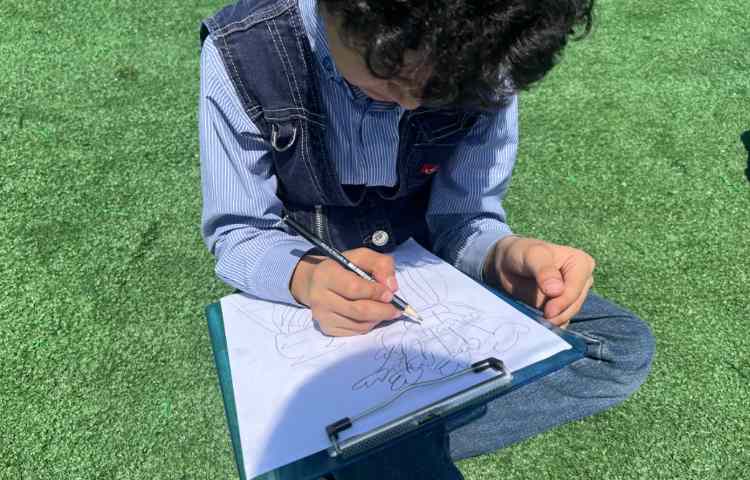 طراحی از چیدمان اشیا درفضای باز 2