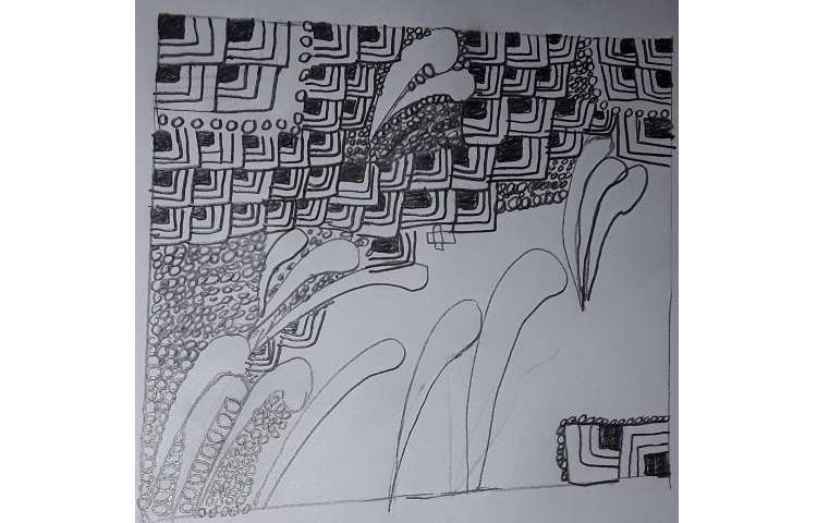 طرحهای ذن تنگل (باران افروزی) 1