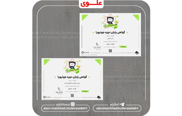 طرح ایران دیجیتال 2