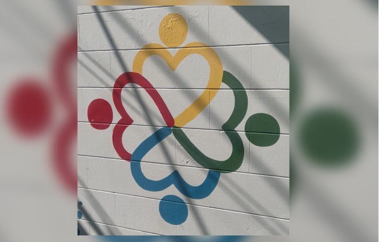 طرح چهارخانه