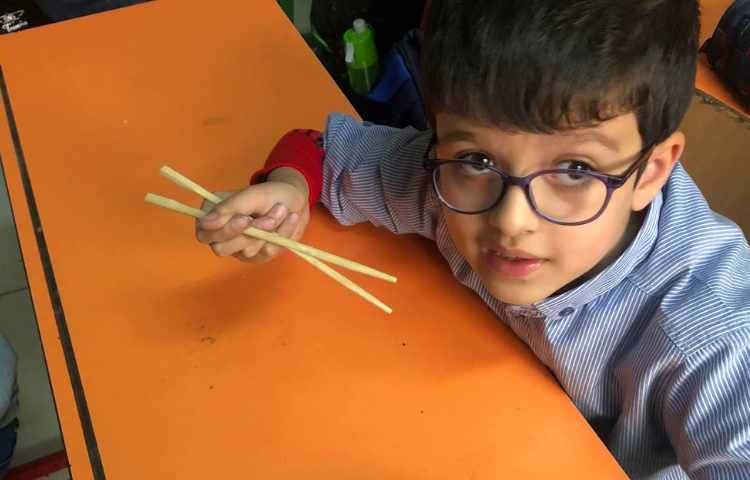 طرز استفاده از جاپستیک 4