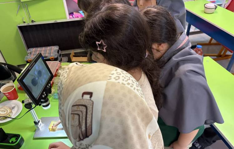 علمی - آموزشی 2