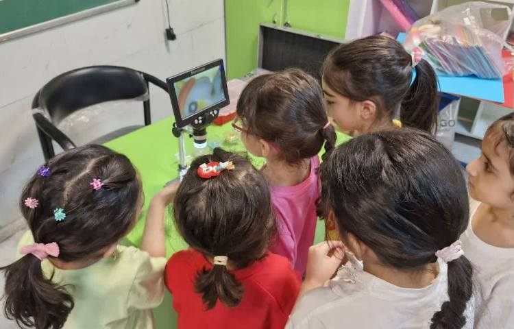 علمی - آموزشی 3