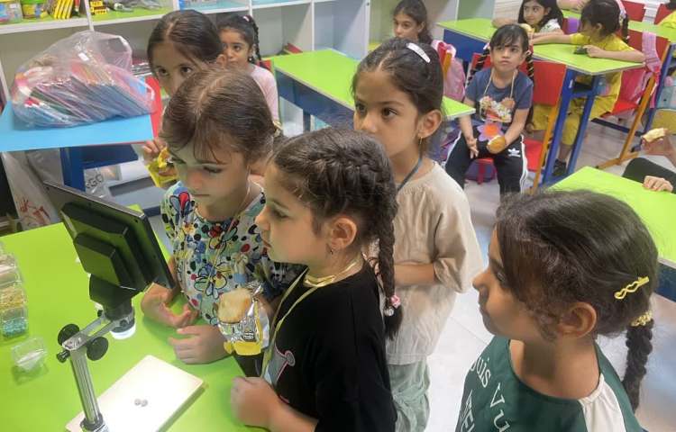 علمی - آموزشی 8