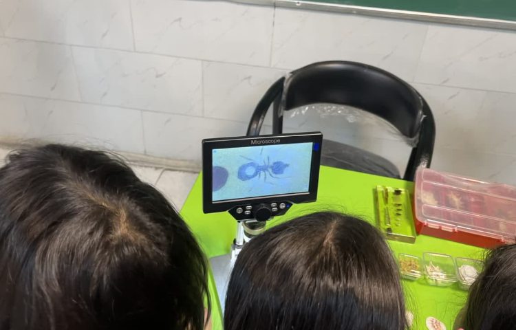 علمی - آموزشی 9