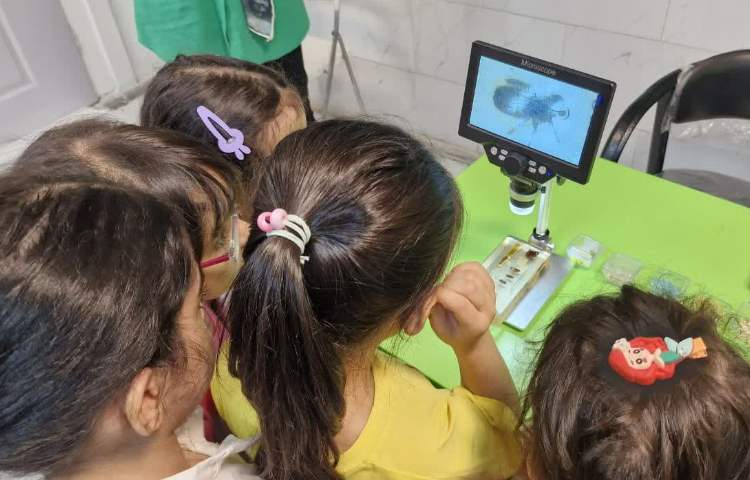 علمی - آموزشی