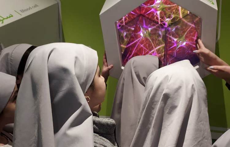 علمی پژوهشی 7