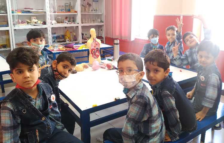 :علوم،آزمایش اجسام روی آب و زیر آب، کلاس پرتقال