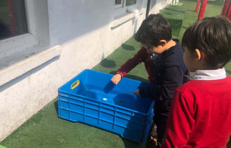 علوم:آزمایش اجسام سبک و سنگین در آب 1