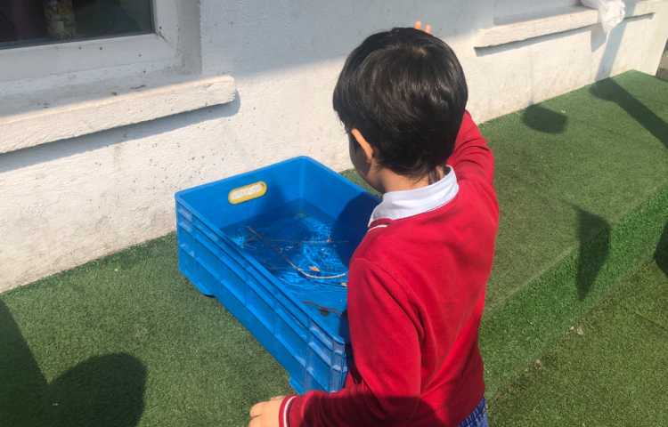 علوم:آزمایش اجسام سبک و سنگین در آب 3